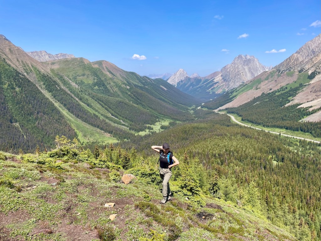 Highwood Ridge hike view point