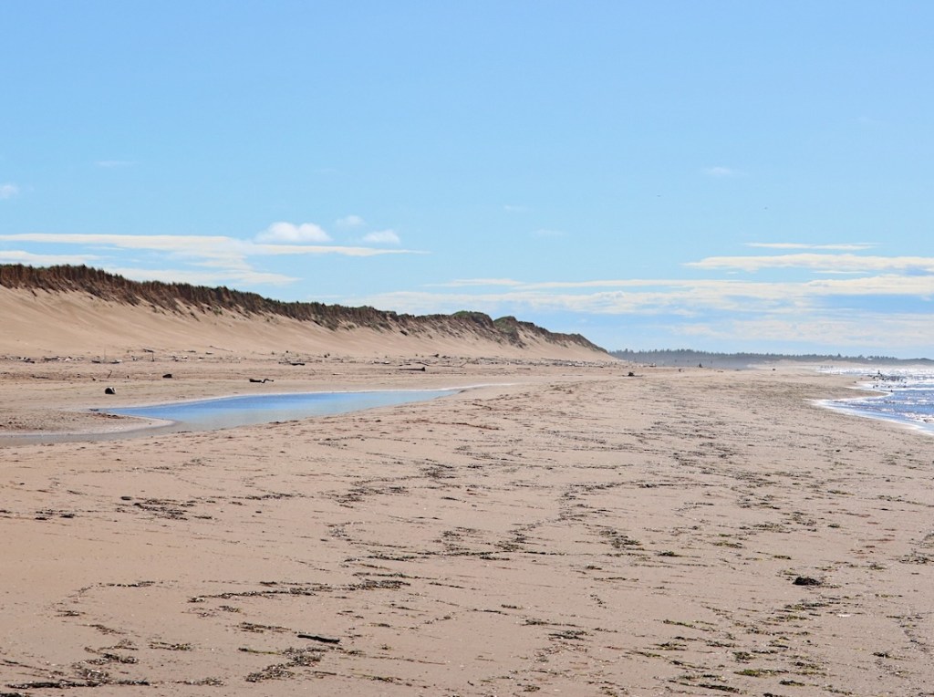 Greenwich Dunes Trail beach