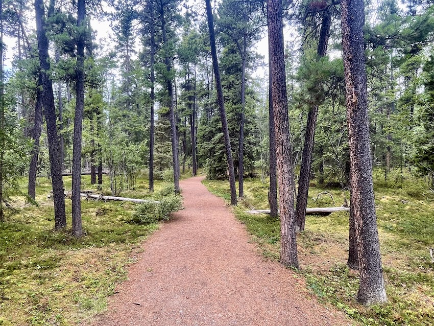 Rancheria Falls Trail beginning