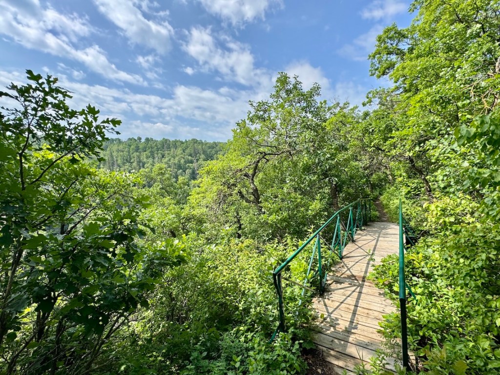 Bald Hill hike bridge