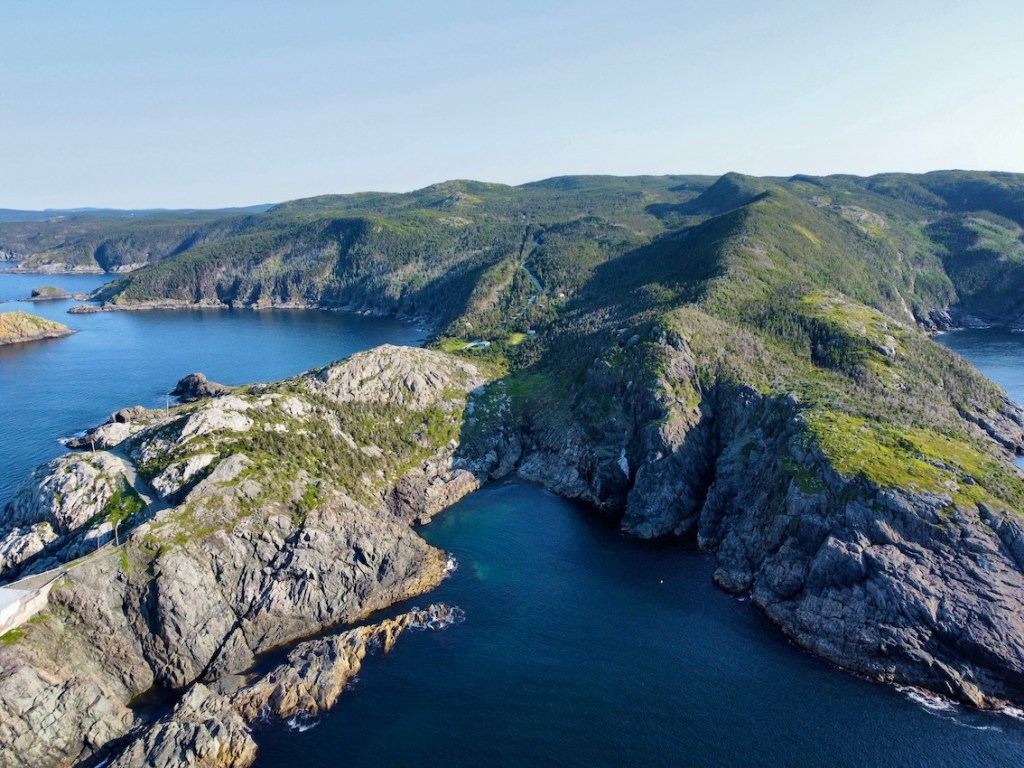 East Coast Trail drone shot