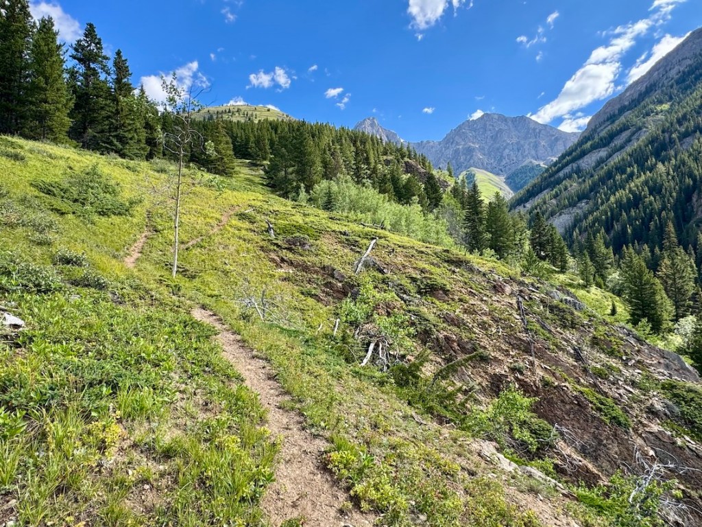 Packenham Junior Peak hike trailhead