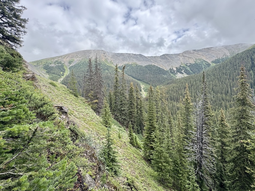Kent Ridge hike above the treeline