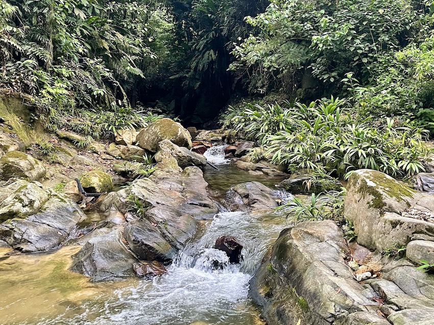 The Lost City trek river