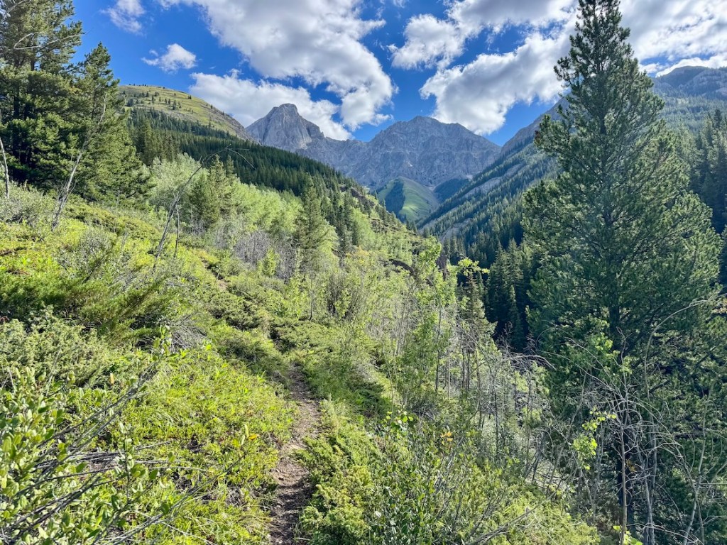 Packenham Junior Peak hike in Kananaskis