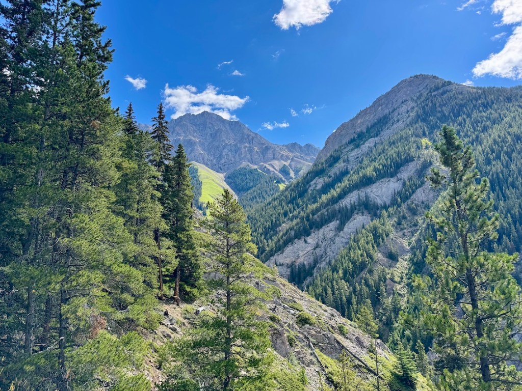 Packenham Junior Peak hike views open up