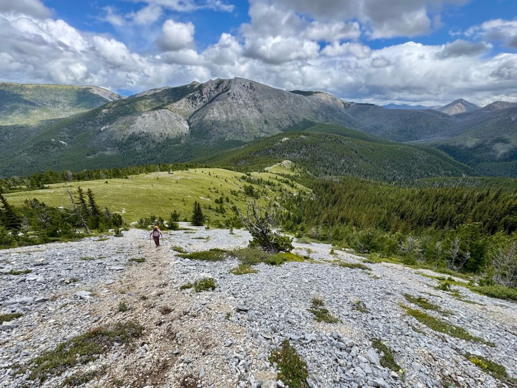 Mount Bowman hike scree
