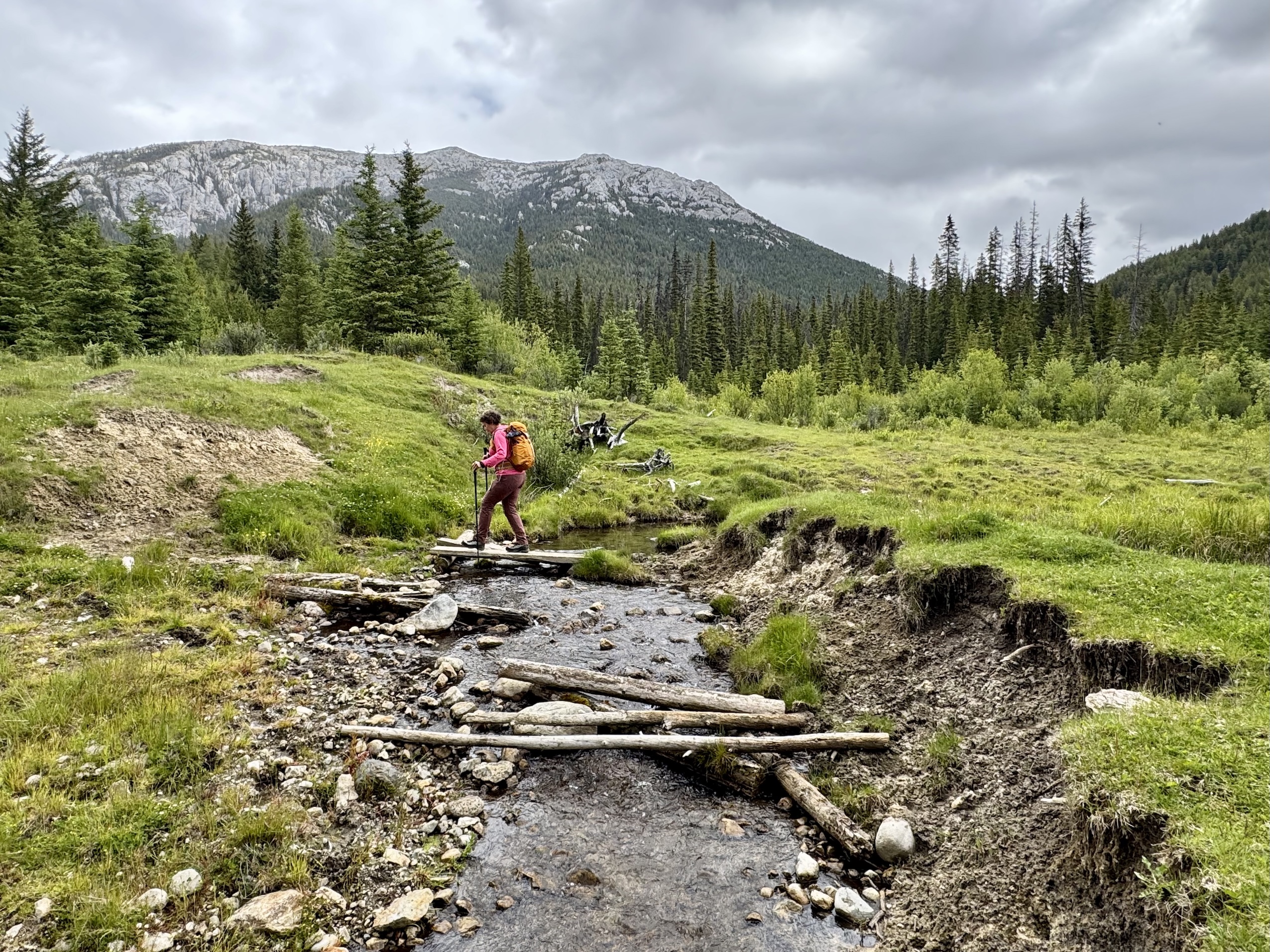 Mount Bowman hike in BC