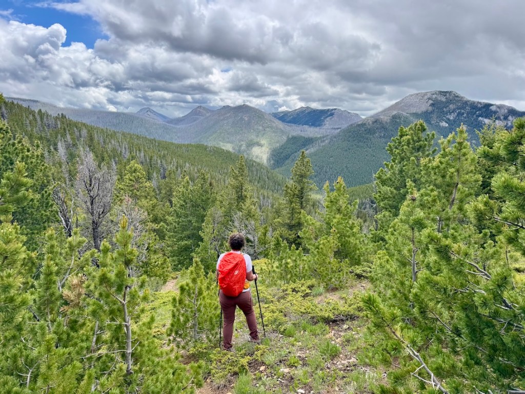 Mount Bowman hike views