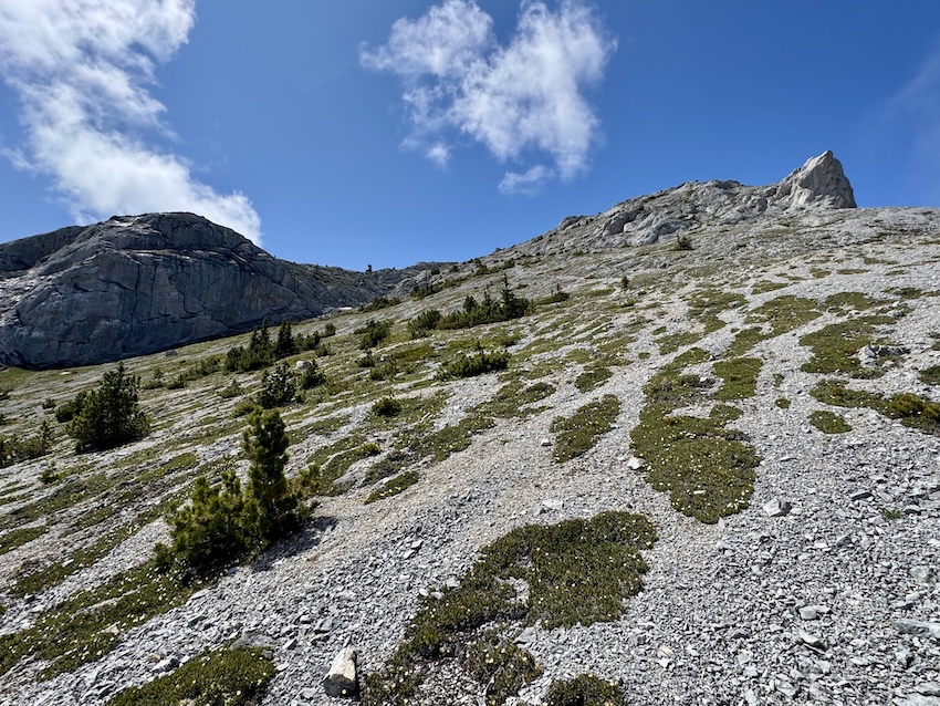 Mount Bowman hike to the summit