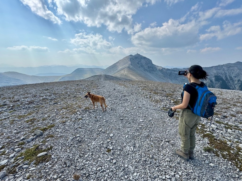 Moose Mountain hike views