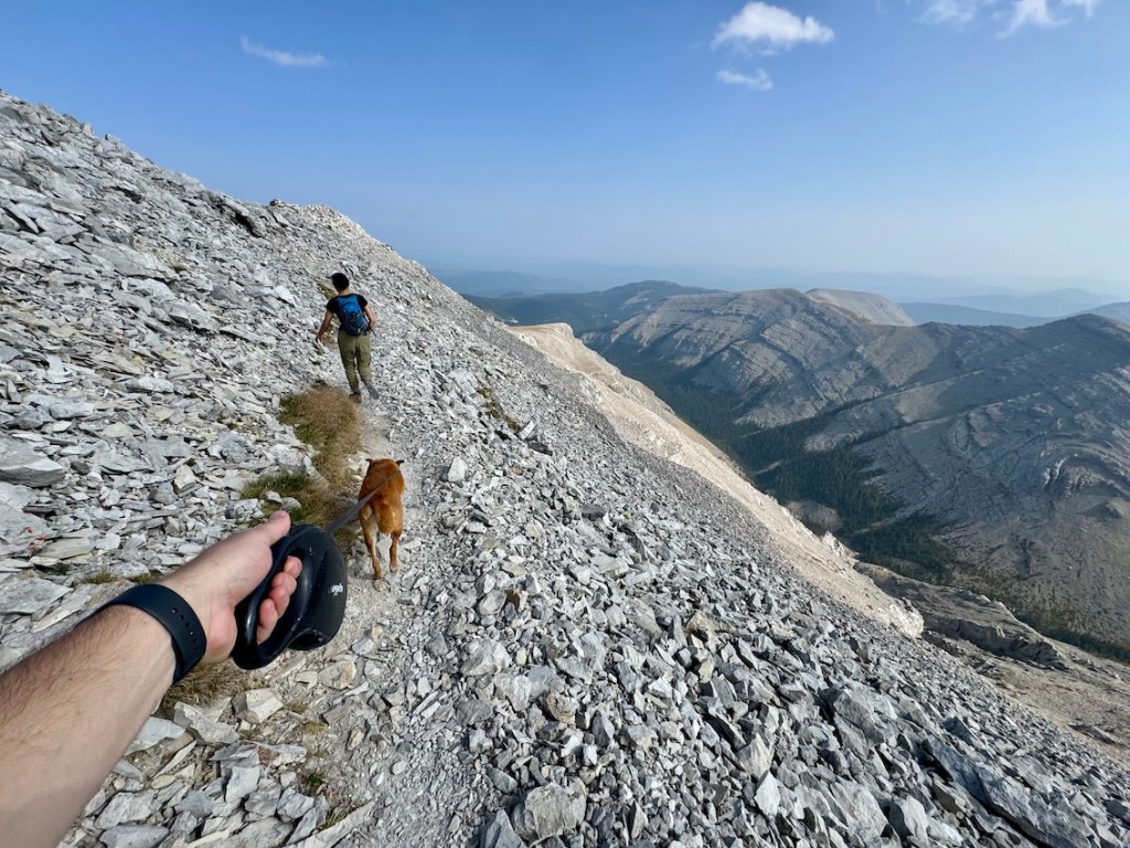 Moose Mountain hike with dog