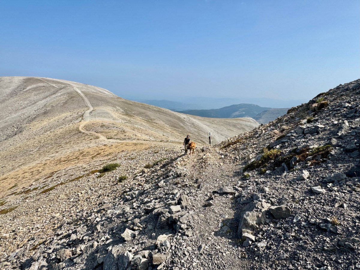 Moose Mountain Hike Near Bragg Creek, Alberta