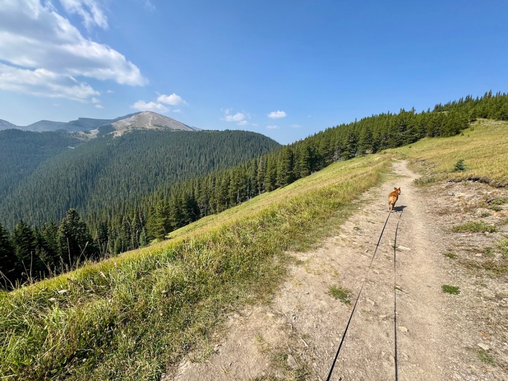 Moose Mountain hike beginning