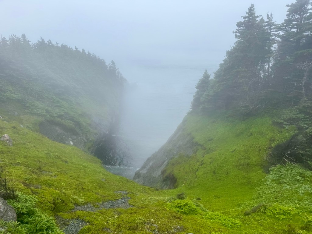 East Coast Trail fog