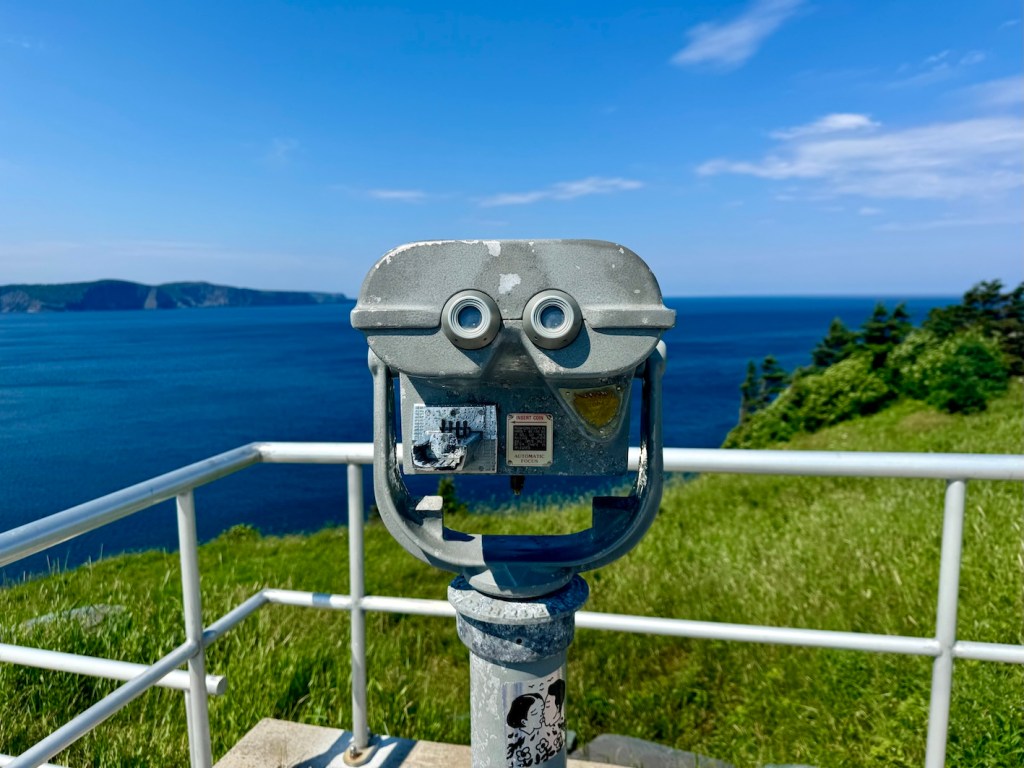 East Coast Trail viewpoint