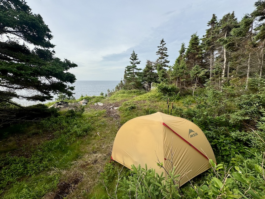 East Coast Trail tent site